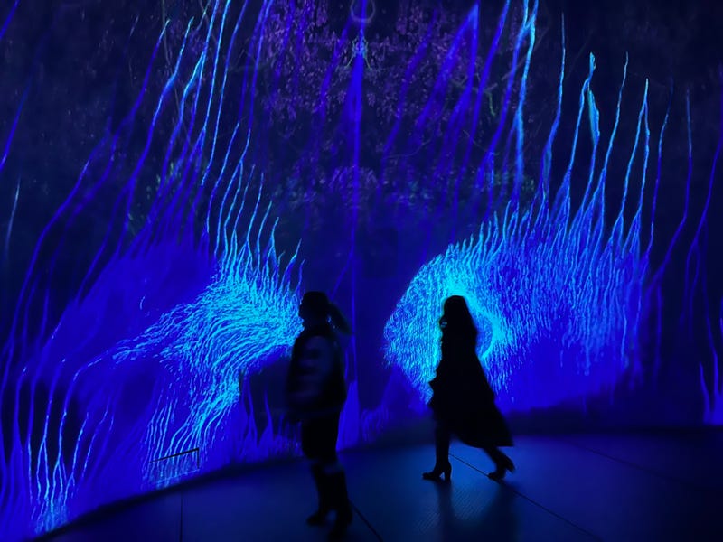From the wINTERverse immersive experience at INTER_ in SoHo.
