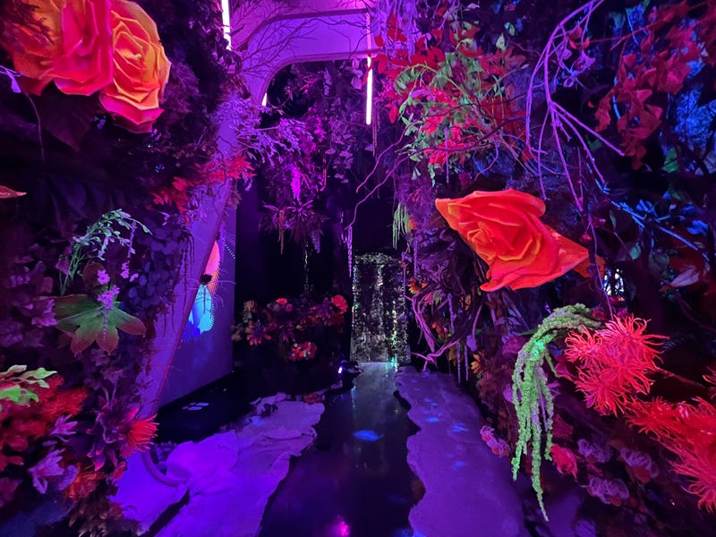 From the wINTERverse immersive experience at INTER_ in SoHo.