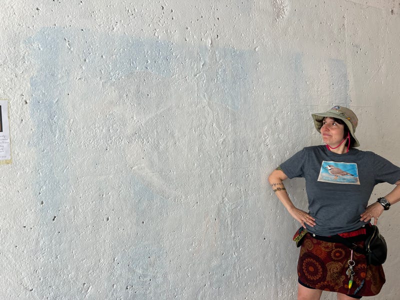 Painted over piping plover mural.