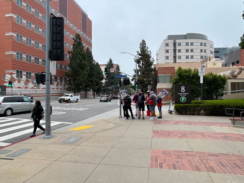 UCLA