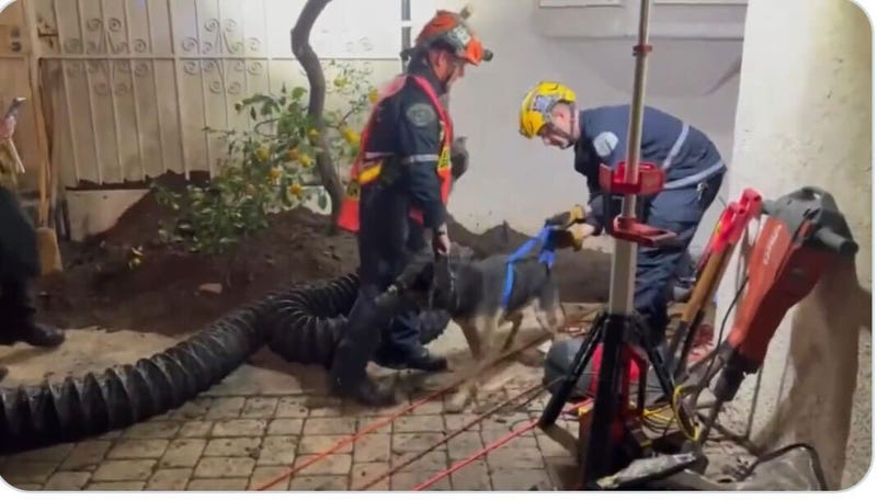 Dog Rescued From 50-Foot Backyard Sinkhole in Compton