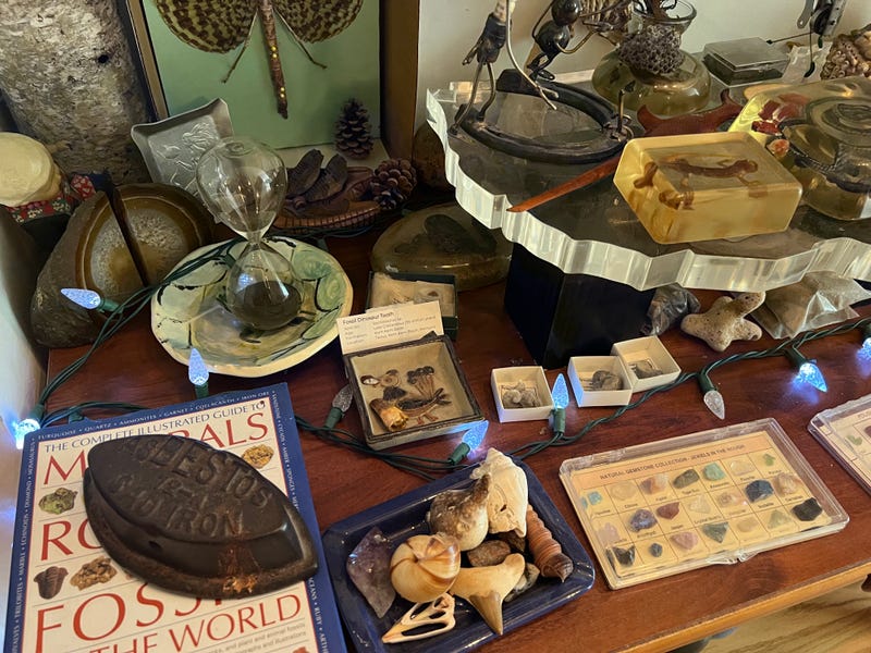 “The term 'obsessive-compulsive' comes to mind, regarding my collecting,” said founder Ray Reiss.