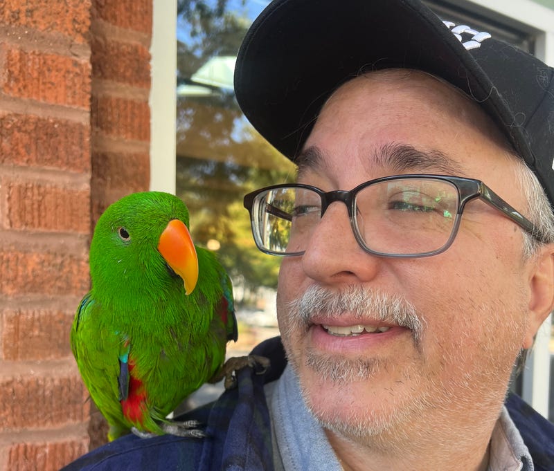 Scot Yonan and his eclectus parrot Guapo. The bird has become a bit of a local celebrity in Oak Park.
