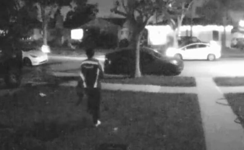 A Lakewood family is searching for their beloved Siamese cat after it was stolen by a freelance Amazon delivery driver. 