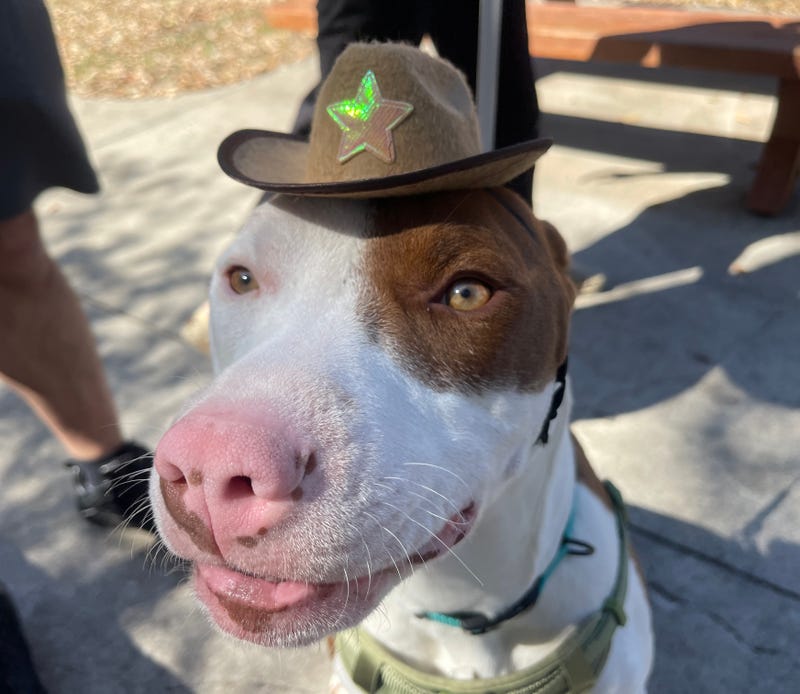 Alvin #A1148205