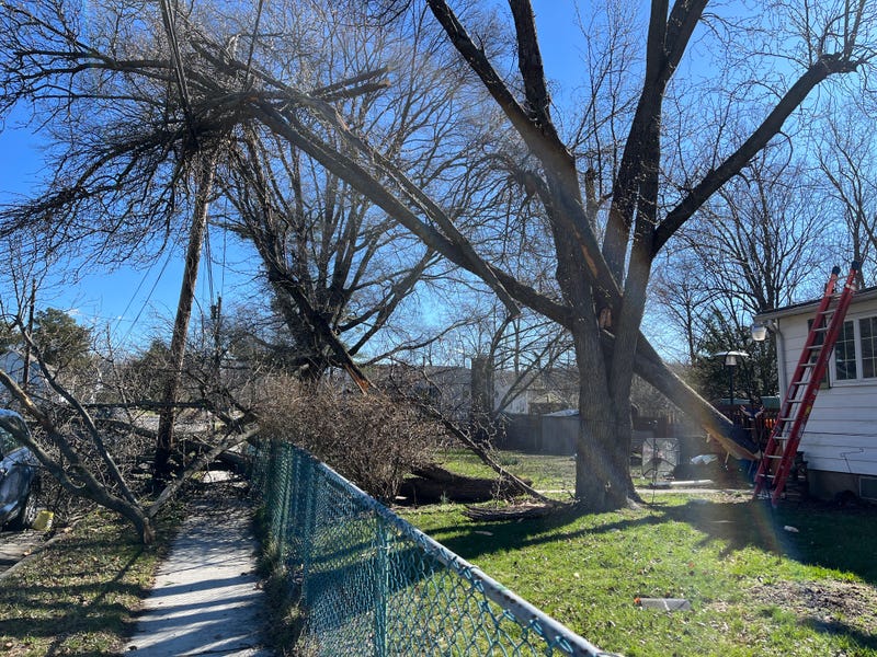 storm damage in Deptford 