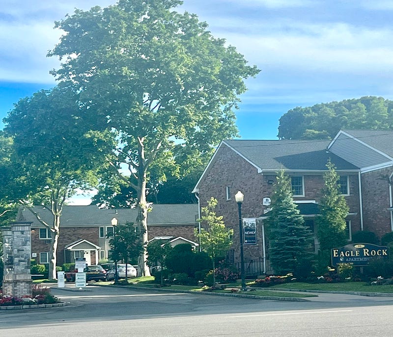 Ongoing construction work at the apartment complex came to a halt after workers dug up the remains