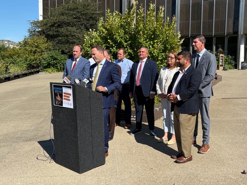 Republican leaders speaking out on the green energy mandates
