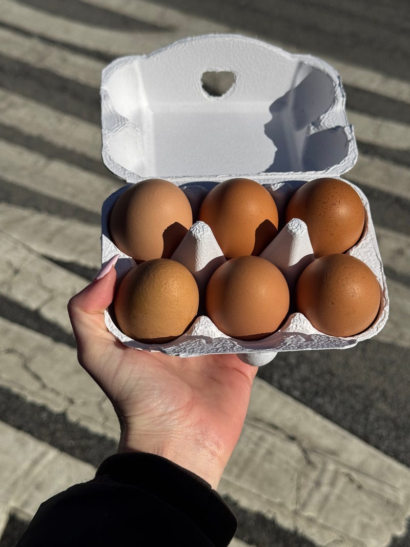 Both Lt. Tommy Lane and Jairala estimate they get between two and four eggs a day.