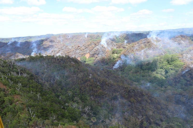 Mililani Mauka Fire