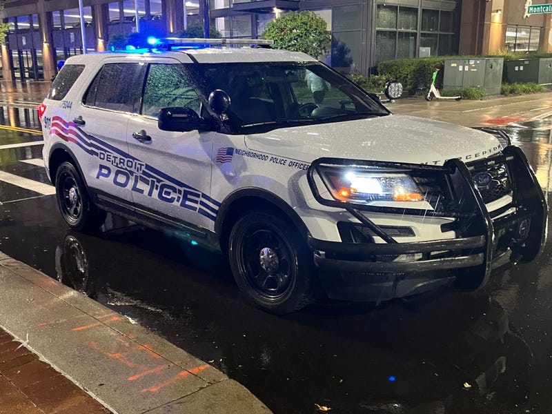 Officials are continuing to investigate a murder on Tuesday morning after a woman was stabbed to death in Highland Park.