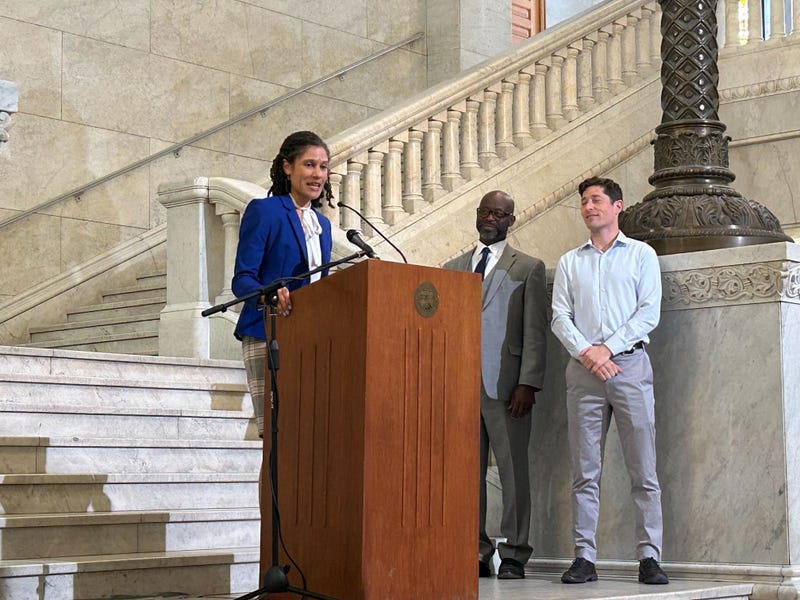 Former social worker Amanda Harrington takes over as Minneapolis' next Director of Neighborhood Safety.