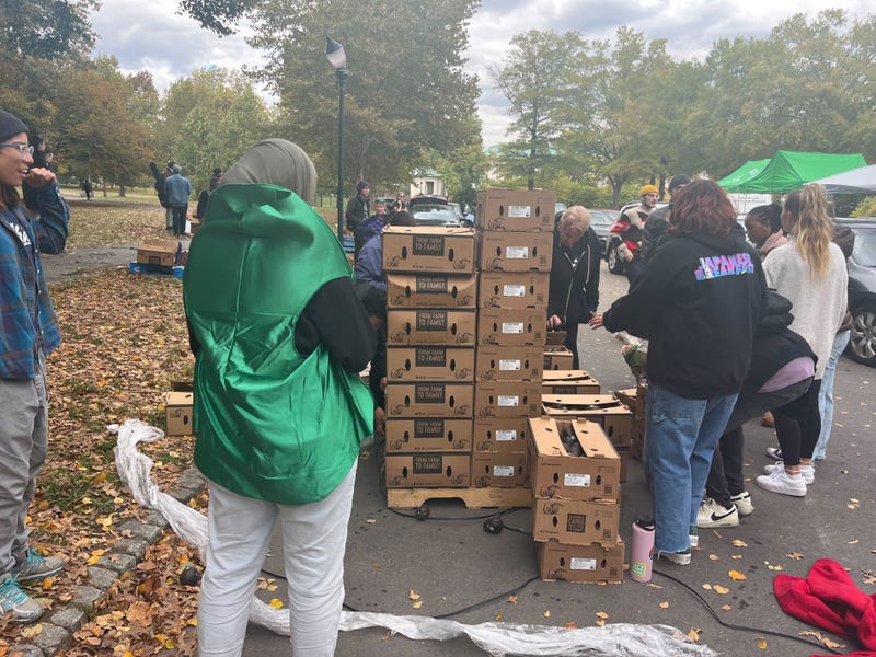 Avogeddon