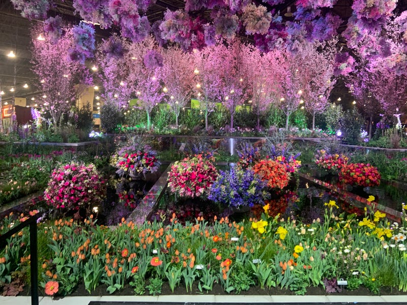 Flower Display at 2024 Philly Flower Show.