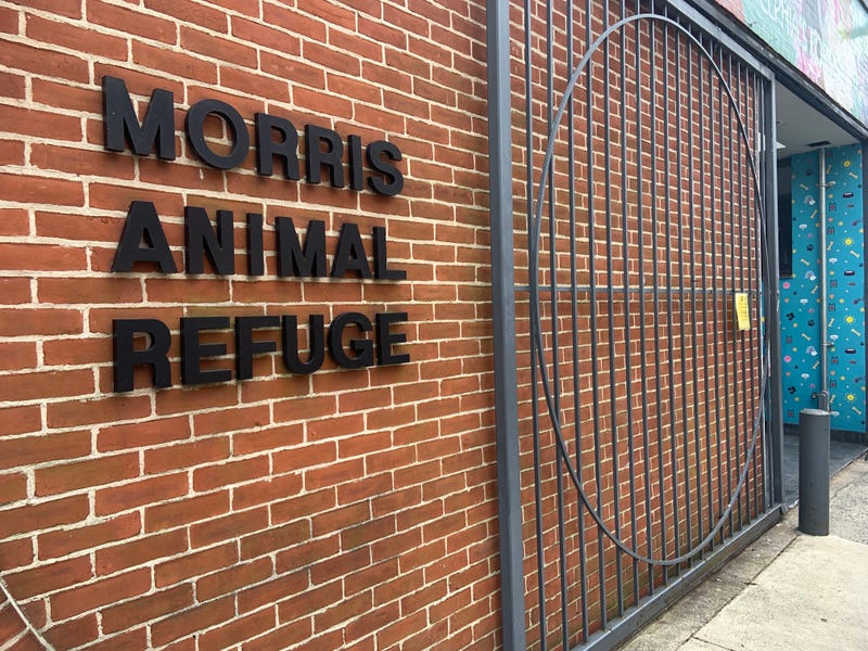 Morris Animal Refuge
