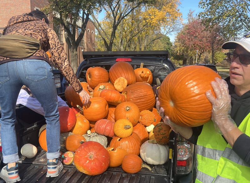 Volunteers unload pumpkins for the Pumpkin Smash in River Forest.