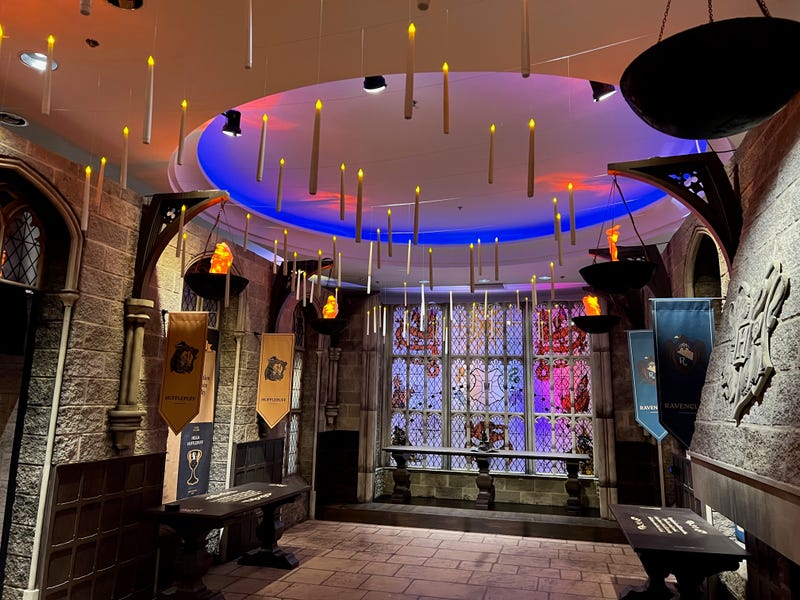 Harry Potter: Magic at Play