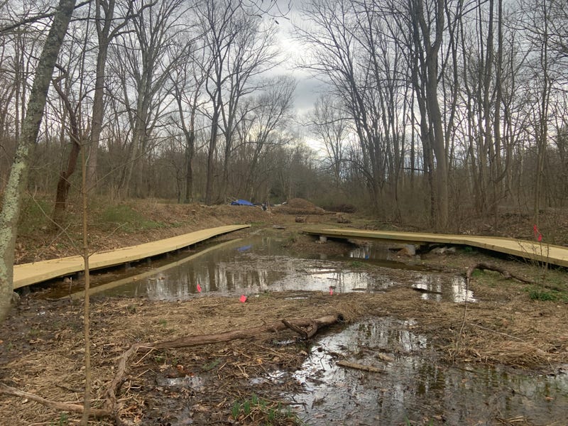 Newlin Grist Mill Park staff hope this new wetland space will draw more species to the surroundings.