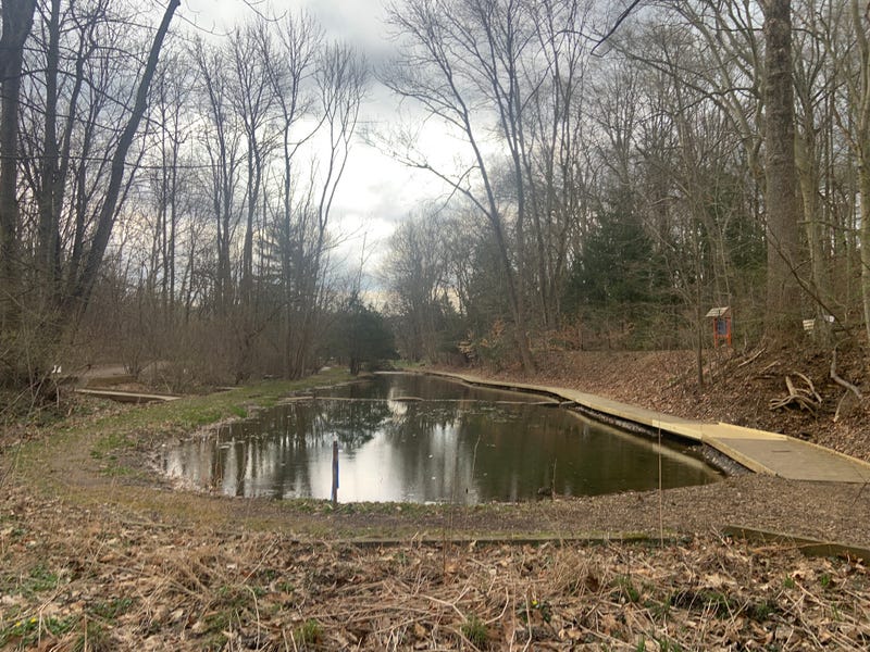 The frog pond has been a source of education for naturalists at Newlin Grist Mill Park.