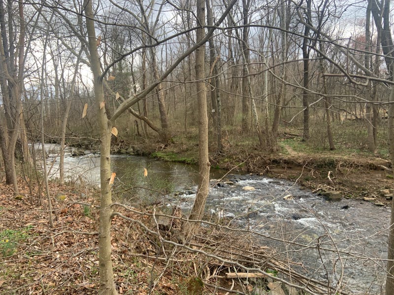 West branch of Chester Creek