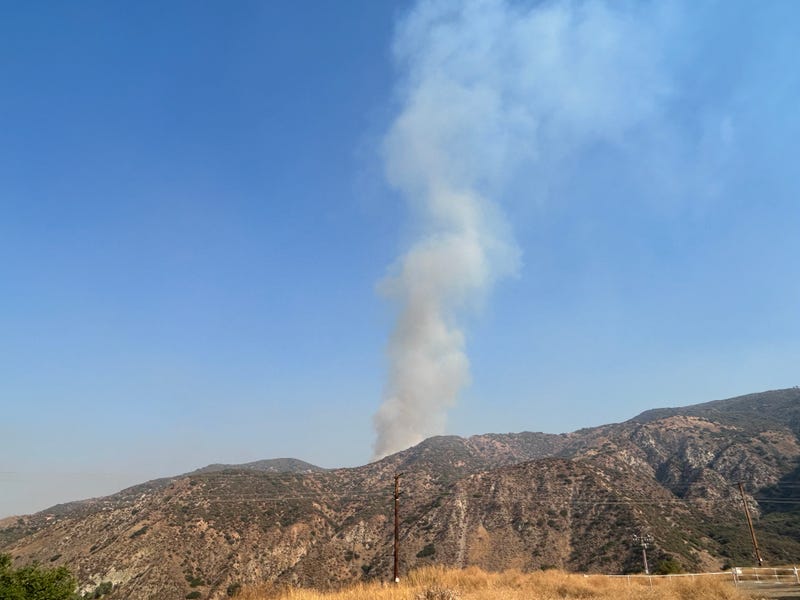 Line Fire