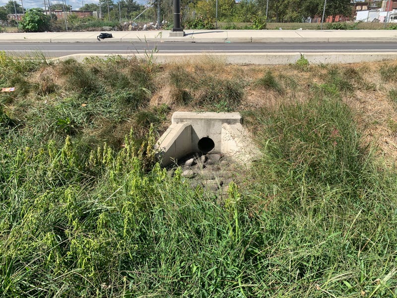 The median on American Street in Kensington aimed to capture rainwater as part of the Philadelphia Water Department’s Green City, Clean Waters plan, a 25-year initiative to reduce 85% of storm-related pollution in the city’s waterways.