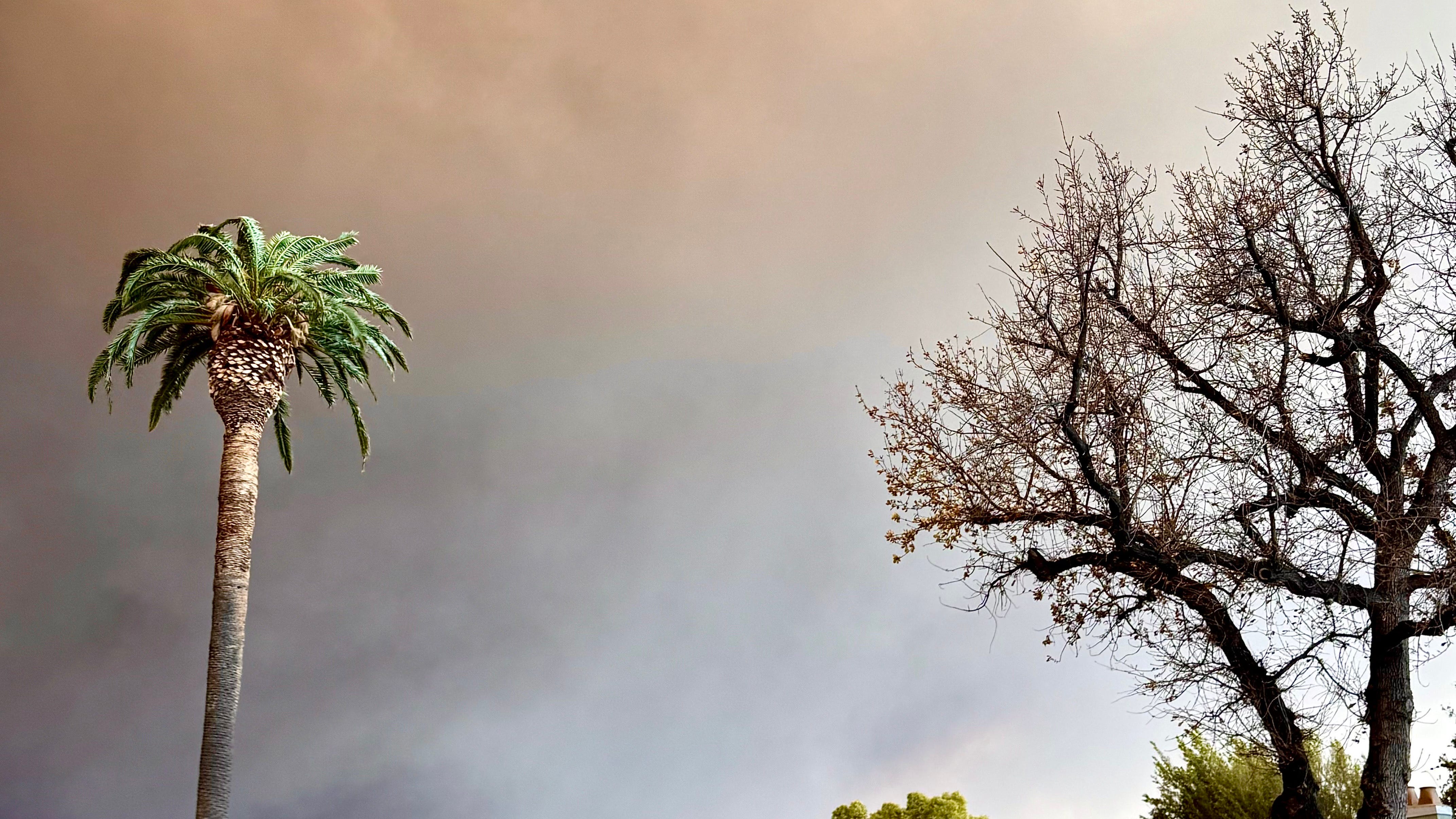 LA Wildfires: Info on how to help