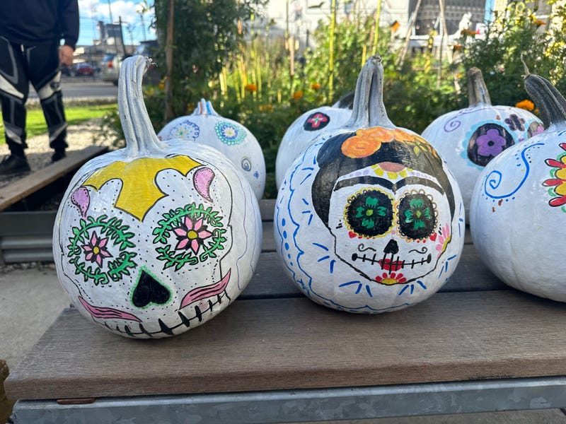 sugar skull pumpkins