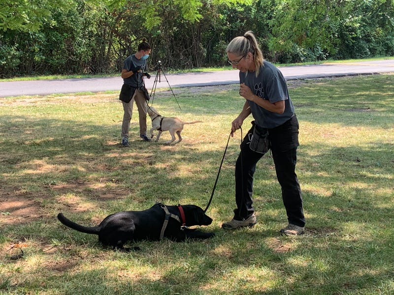 Penn Vet Working Dog Center 