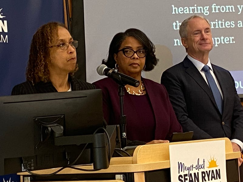 Mayor-elect Sean Ryan's transition team has 65 members.