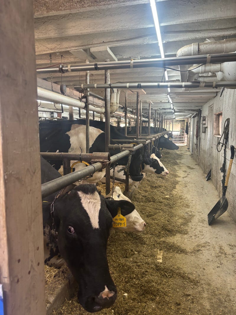 You better believe sixth-generation farmer Christine Leonard has names for every one of her family’s 45 dairy cows.