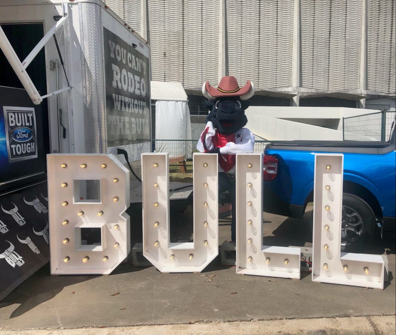 RodeoHouston - Toro Bull