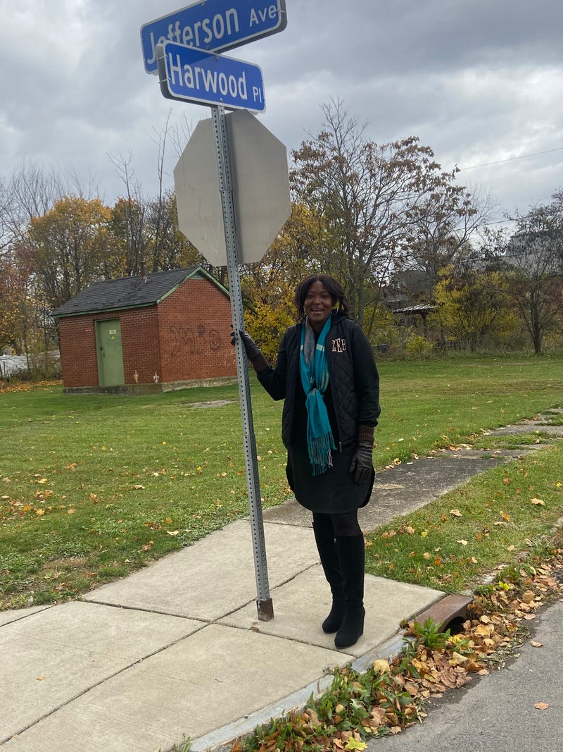 Buffalo's 'Legacy Cities' program will see 51 vacant lots developed into homes.