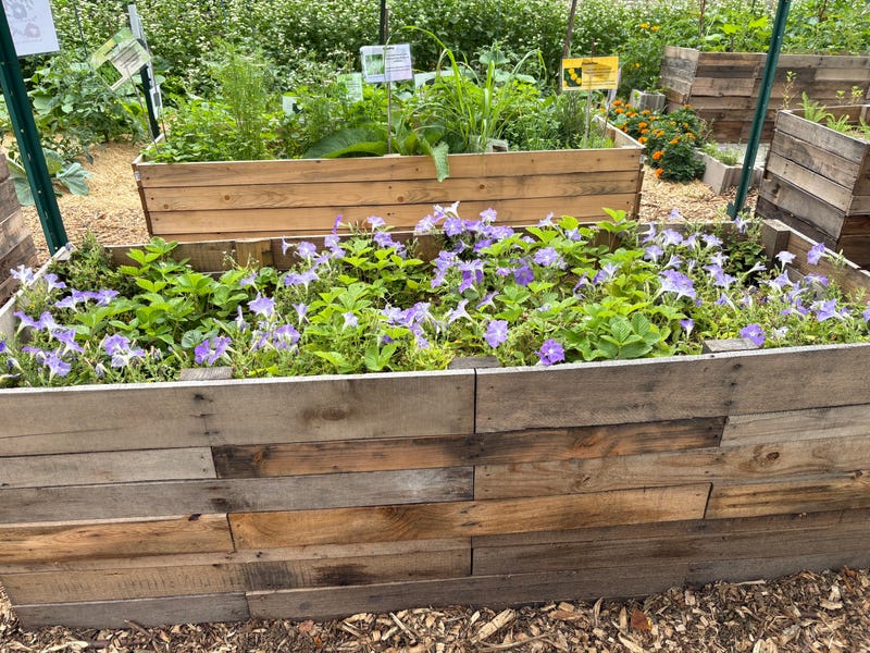 It's called ‘Just Us Gardens’ and it features beds designed by Justice Impacted Individuals currently in prison who wanted to support the community.