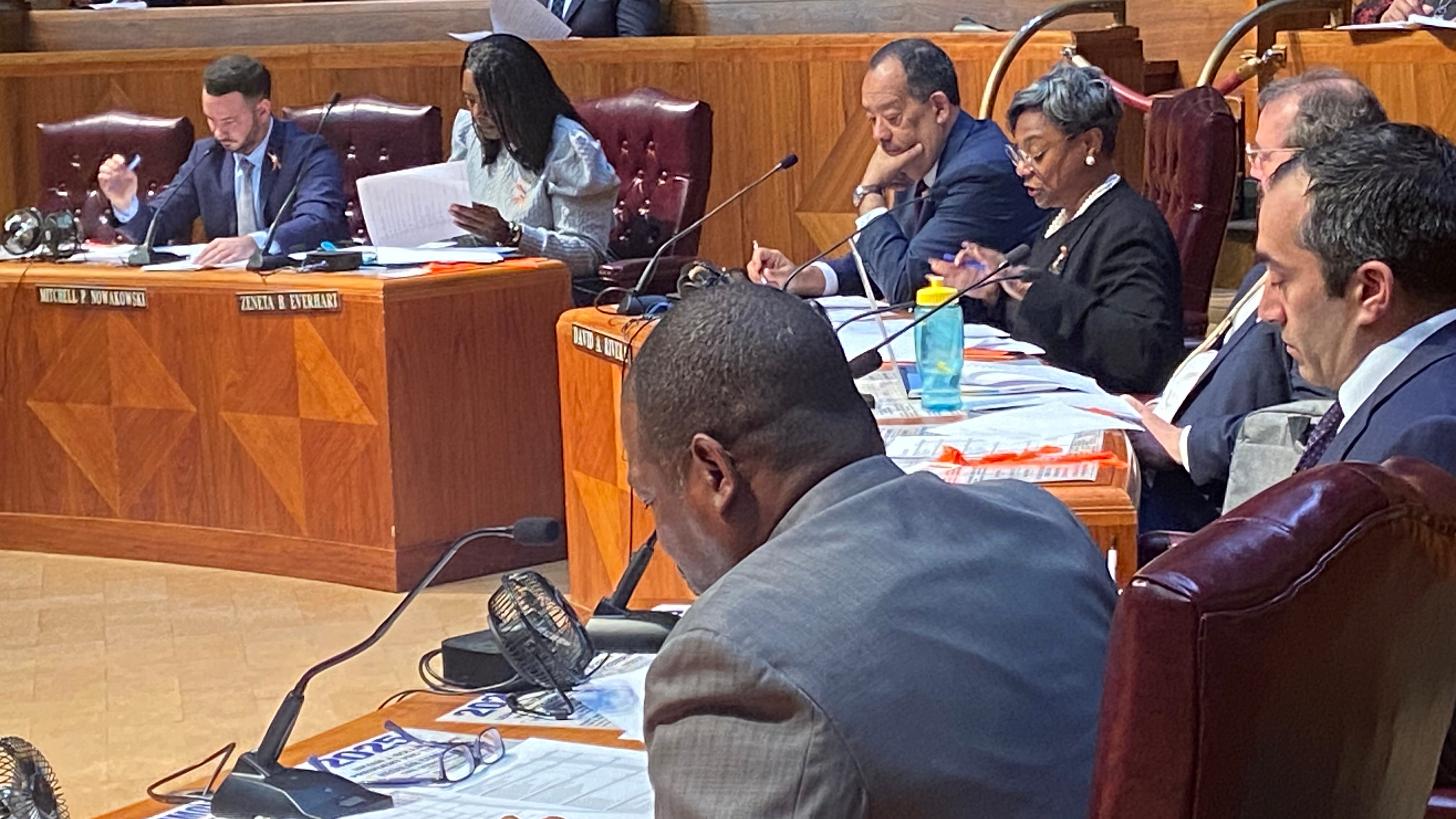 Buffalo Common Council goes after vacant lots