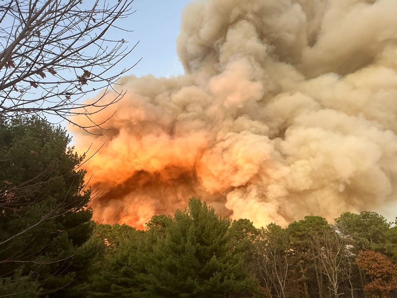 Bethany Run Wildfire