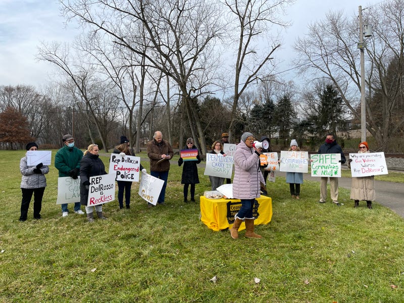CeaseFirePA rally in Cheswick, PA