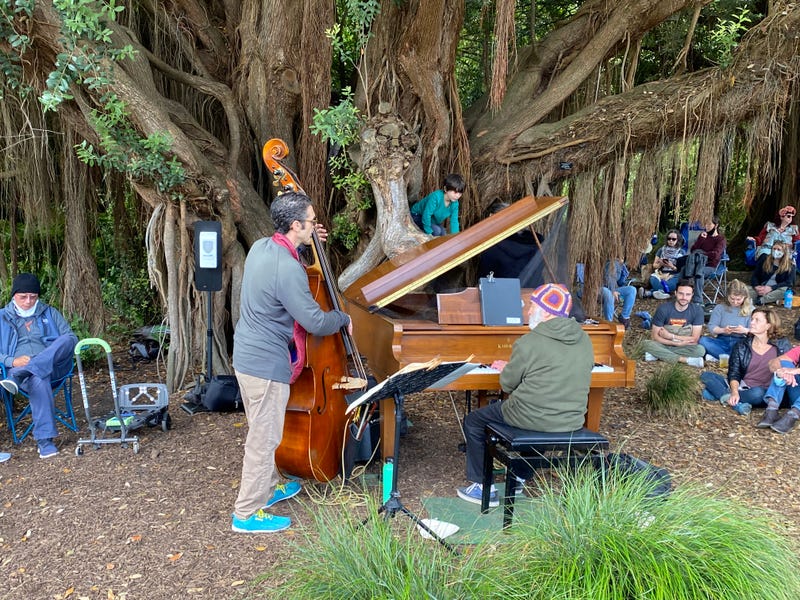 Flower Piano festival returns to San Francisco Botanical Garden.