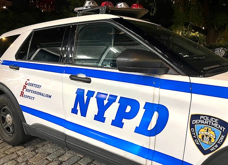 Two men were attacked in Central Park early Monday morning