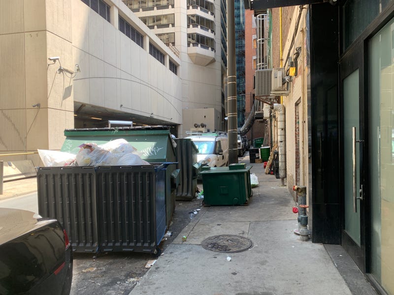 Dumpsters in the alleyway