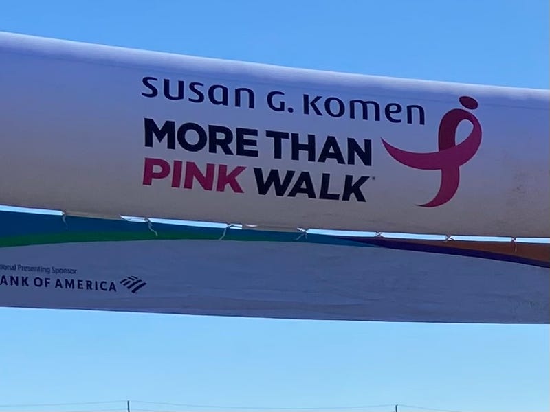 Susan G. Komen More Than Pink Walk banner