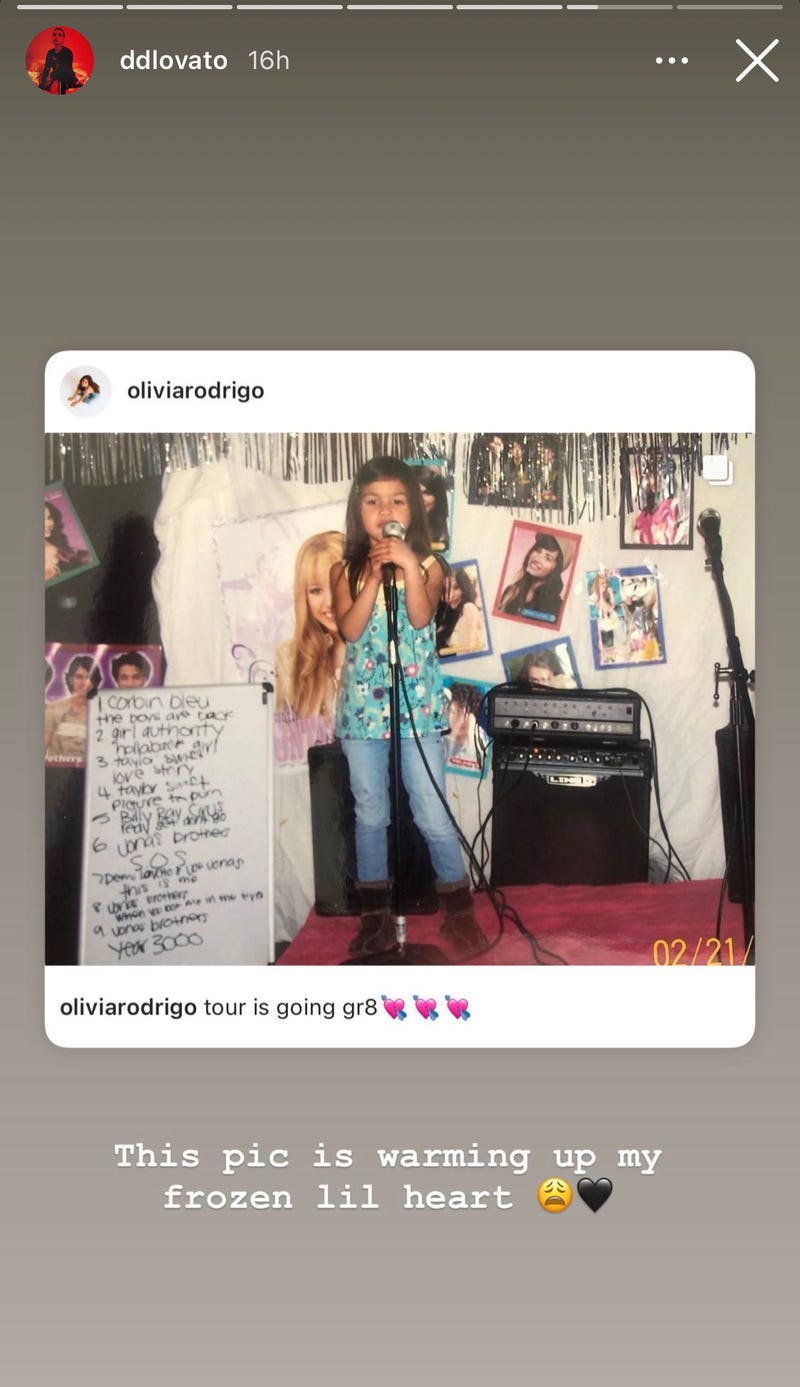 Demi Lovato's IG story