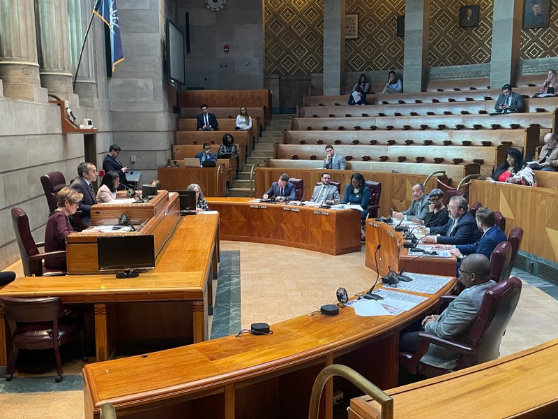 Buffalo Common Council