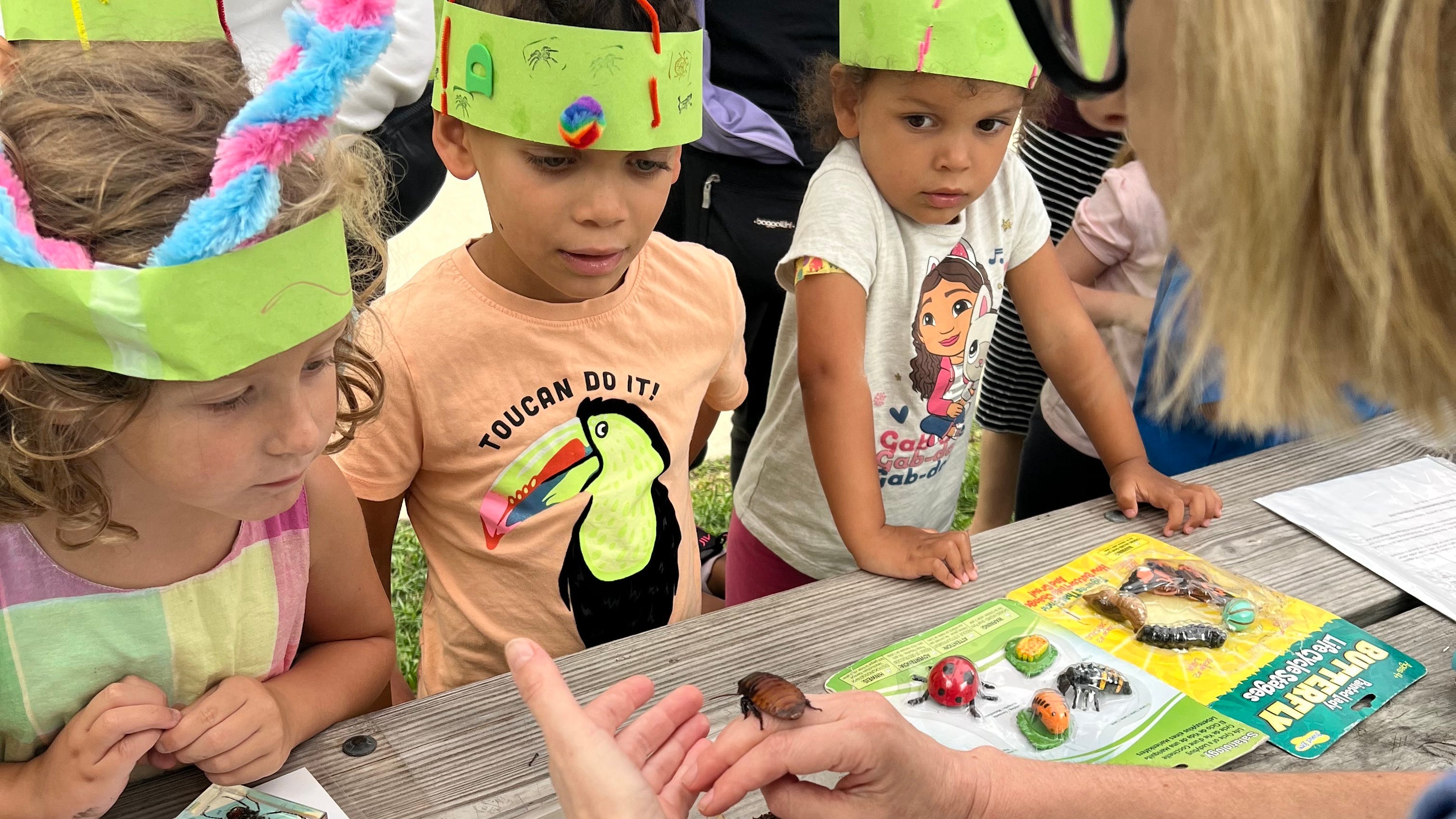 ‘He doesn’t bite’: Hundreds attend annual ‘Insect Fest’ in western suburbs