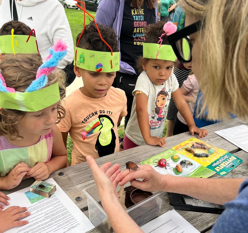 Insect Fest