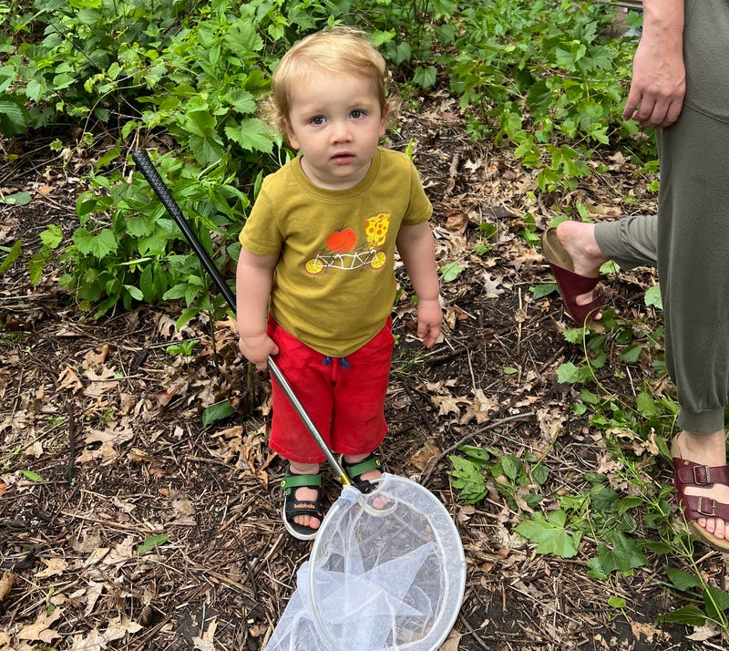 Bug hunter