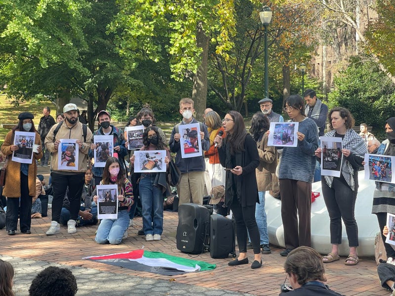 pro-Palestinian demonstration