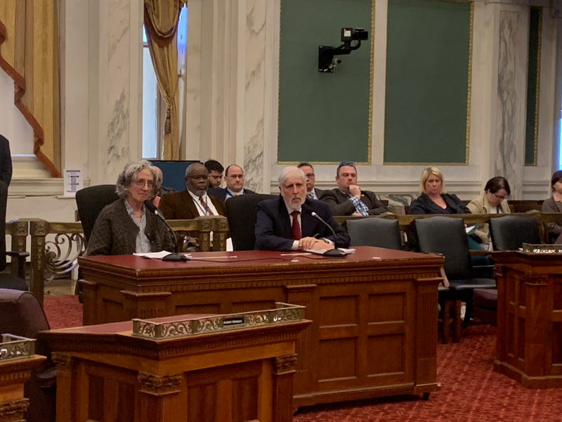 Paul Levy and Sarah McEneaney testifying