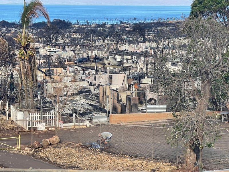 man washing dog outside ruins of burnt town