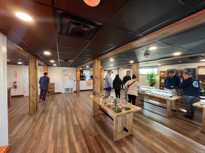 A look inside Nativa Cannabis 